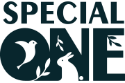 Special One