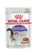Вологий корм для стерилізованих котів Royal Canin Sterilised Gravy 85 г (домашня птиця) 6012 фото 1