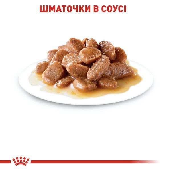 Вологий корм для стерилізованих котів Royal Canin Sterilised Gravy 85 г (домашня птиця) 6012 фото