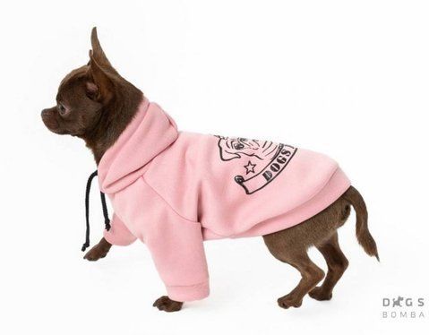 Толстовка Єдиноріг Dogs Bomba пудра №2 Y-176/2 00000014729 фото