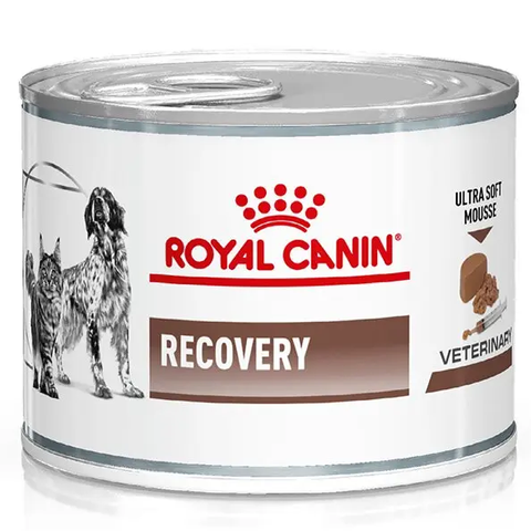 Вологий корм ROYAL CANIN RECOVERY Dog/Cat 195 г 6433 фото