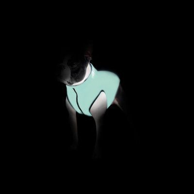КУРТОЧКА ДЛЯ СОБАК AIRYVEST LUMI ДВУСТОРОННЯ, СВІТИТЬСЯ, РОЗМІР XS 25, САЛАТОВО-ПОМАРАНЧЕВА 2141 7543 фото