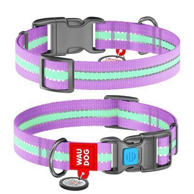 НАШИЙНИК ДЛЯ СОБАК НЕЙЛОНОВИЙ WAUDOG NYLON C QR ПАСПОРТОМ, СВІТЛОВІДБИВАЮЧИЙ, Ш 20 ММ, ДЛ 24-40 СМ, ФІОЛЕТОВИЙ 45639 45639 фото