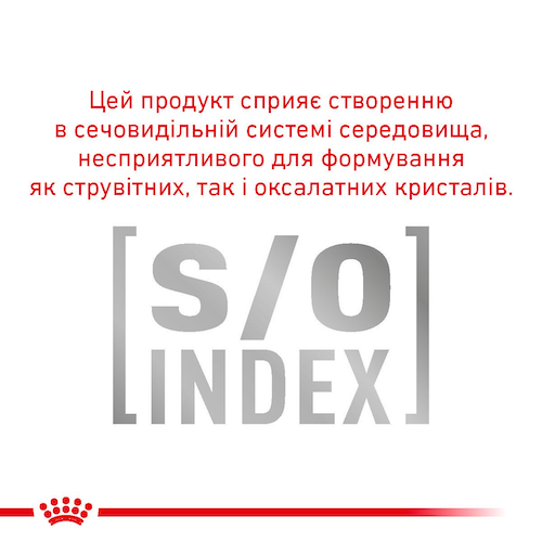Гіпоалергенний сухий корм для котів Royal Canin Hypoallergenic 400 г 16723 фото