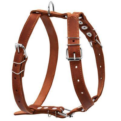 Шлея "collar" одинарна (ширина 25мм, а: 49-68см, в: 68-80см), коричнева 06386 06386 фото