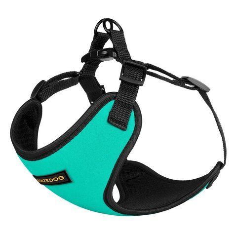 Нагрудник для собак дрібних порід BRONZEDOG SPORT НЕОПРЕН 3D Сітка Бірюзова 7313T фото