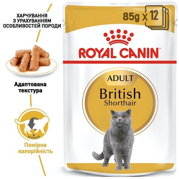 Вологий корм для дорослих котів породи британська короткошерста Royal Canin British Shorthair Adult 85 г (домашня птиця) 6006 фото