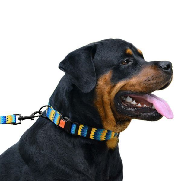Нашийник для Собак BronzeDog Urban Зигзаг Нейлоновий з Пластиковою Пряжкою Жовто-Синій 52/1317T 52/1317T фото