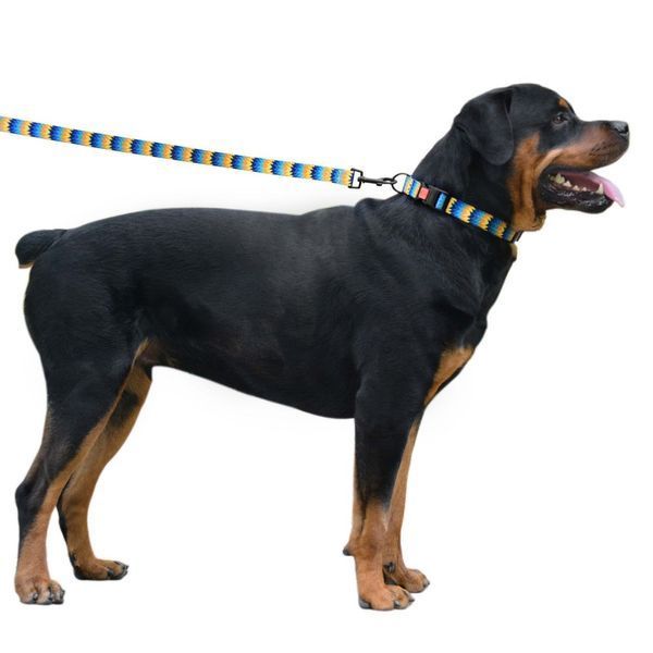 Нашийник для Собак BronzeDog Urban Зигзаг Нейлоновий з Пластиковою Пряжкою Жовто-Синій 52/1317T 52/1317T фото