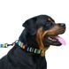 Нашийник для Собак BronzeDog Urban Зигзаг Нейлоновий з Пластиковою Пряжкою Жовто-Синій 52/1317T 52/1317T фото 4
