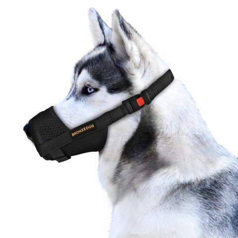 Намордник для собак Bronzedog дихаючий регульований 3D сітка 57421/Т 57421/Т фото
