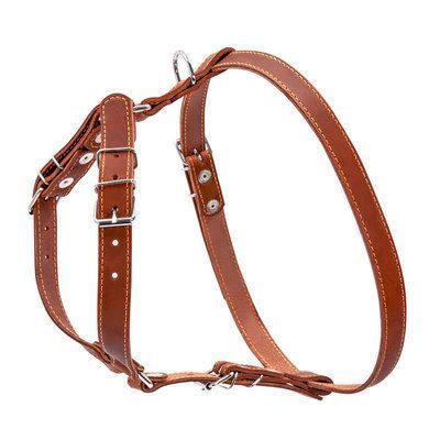 Шлея "collar" одинарна для дрібних і середніх собак (ширина 20мм, а: 40-56см, в: 57-65см), коричнева 06366 06366 фото