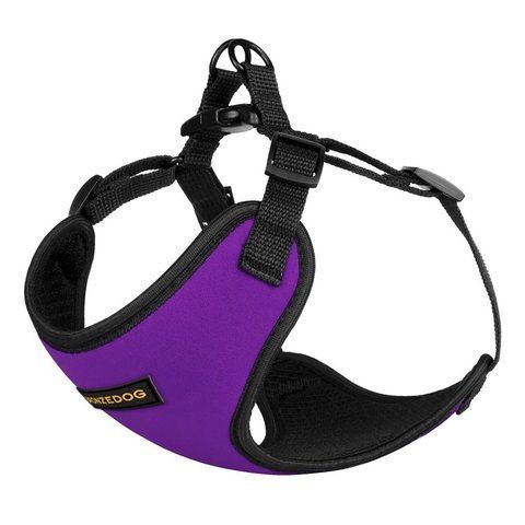 Нагрудник для собак дрібних порід BRONZEDOG SPORT НЕОПРЕН 3D Сітка Фіолетовий 7309Б/Т фото