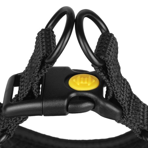 Нагрудник для собак дрібних порід BRONZEDOG SPORT НЕОПРЕН 3D Сітка Фіолетовий 7309Б/Т фото