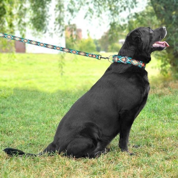 Повідець для Собак Bronzedog Urban Нейлоновий Ромби 60/1334/Т 60/1334/Т фото