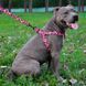 Шлея для Собак BronzeDog Urban Кісточка Нейлонова Рожева Обхват грудей - 45-56 см 70/1332/Т 70/1332/Т фото 4