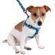 Шлея для собак BRONZEDOG Urban нейлонова блакитна 72/1331/Т 9684 фото 4