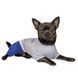 Костюм Pet Fashion "ОРІОН" M 00000011641 фото 2