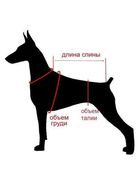 Комбінезон для котів &ldquo;КРОХА&rdquo; бебі 7700 фото