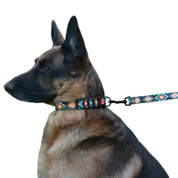 Повідець для собак BRONZEDOG URBAN етнічний нейлоновий ромби 61/1334/Т фото