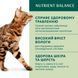 Вологий корм OPTI MEAL для котів з кроликом у морквяному желе 85г 14380 фото 3