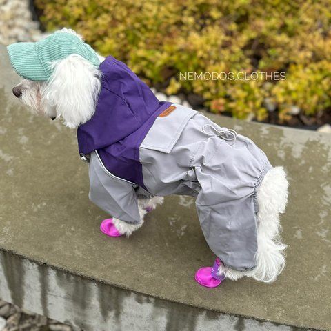 Дощовик CheePet фіолетово-синій S1 18827 фото